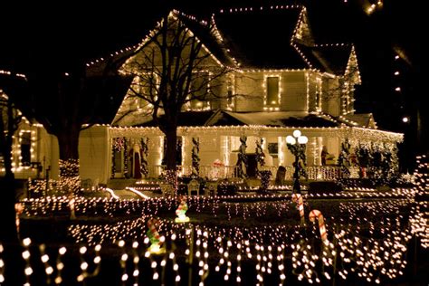 MEs Zoo, parker city, United States Of America - Top Attractions ...