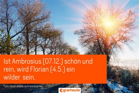 Dezember warm - Gott erbarm. Bauernregeln im Dezember | agrarheute.com