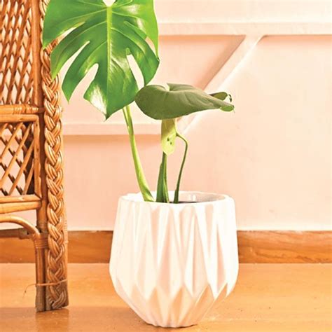 Buy Ugaoo Precious Horcrux White Ceramic Pot Online in India | Vaaree