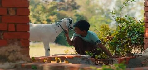 Ilham brings Pasmanda life's authentic flavour to Hindi cinema