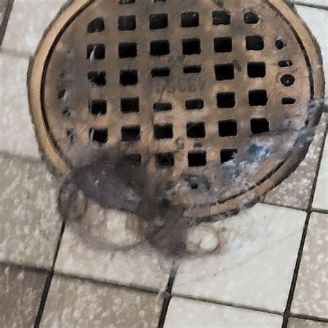 LOG CABIN RESORT (Olympic National Park) - Campground Reviews & Photos ...