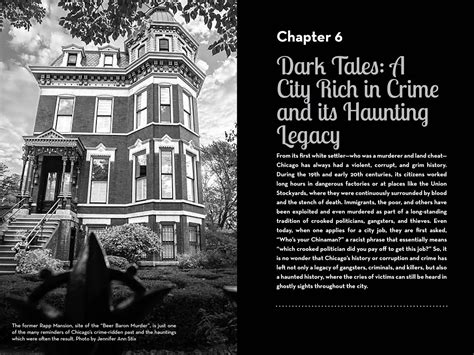 Amazing Chicago: The City of Big Shoulders, Murder, and Mayhem – Reedy ...