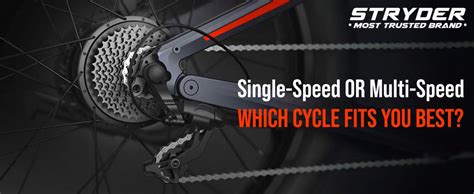 Single, 7, or 21-Speed: Which Cycle Fits You Best? – Stryder Bikes