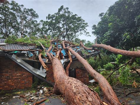 Golden Age of Gaia – Toward a World that Works for Everyone