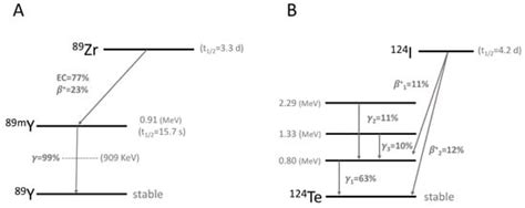 Current Perspectives on 89Zr-PET Imaging
