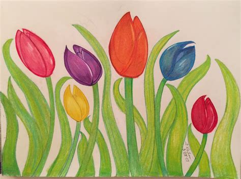 Flower Drawing Tulip at Janice Humphries blog