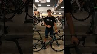 Professor Live Tutorials 的图像结果