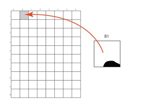 Grid Tutorial 的图像结果