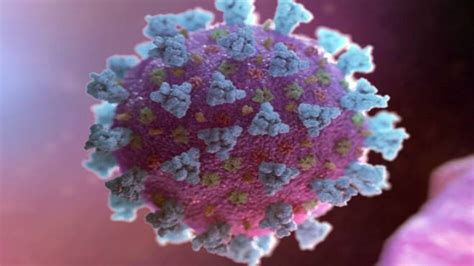 Coronavirus death toll reaches 2,606 in France - BusinessToday