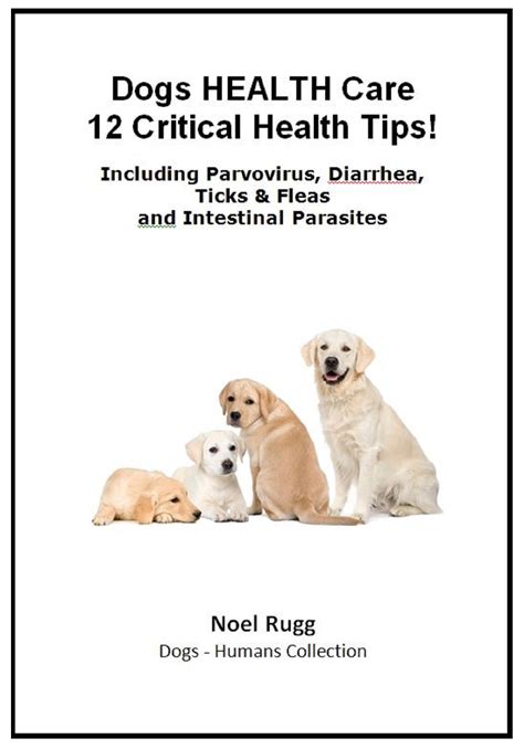 Buy Dog Care - 11 Critical Tips! Including Parvovirus, Diarrhea, Ticks ...