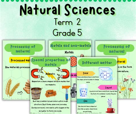 Natural Science Examples 的图像结果