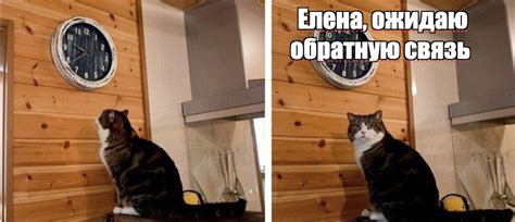 Time Meme 的图像结果