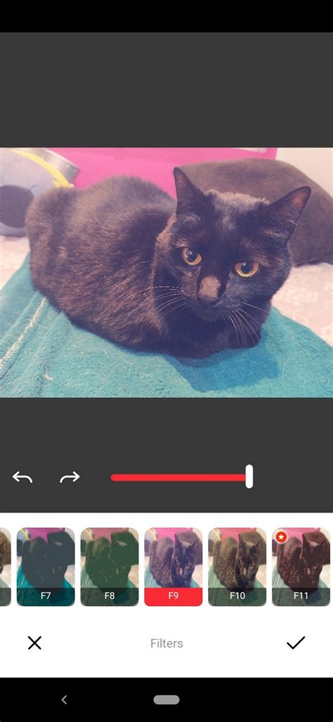 Image result for Retro Camera Emulator