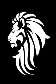 Image result for Lion Python Code