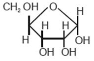 Which of the following molecule represent the given structure?