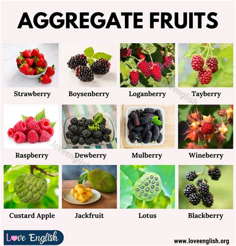 Aggregate Fruit Names in English - Love English