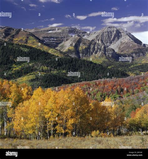 The USA,Utah,Uinta Mountains,mountain landscape,trees,autumn,nature ...