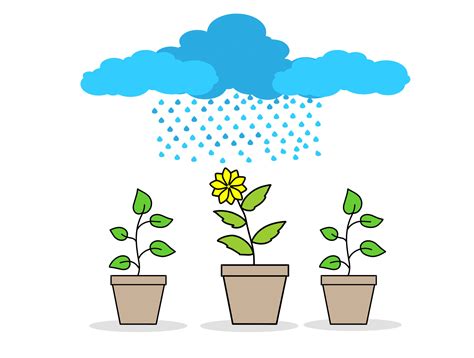 Vector Rain on Potted Plants Illustrations White Background 11702844 Vector Art at Vecteezy