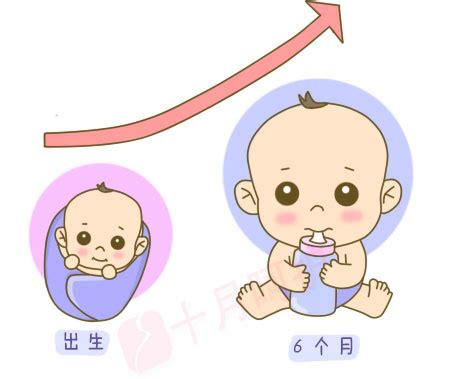 6个月婴儿,2个月婴儿,1个月婴儿_大山谷图库