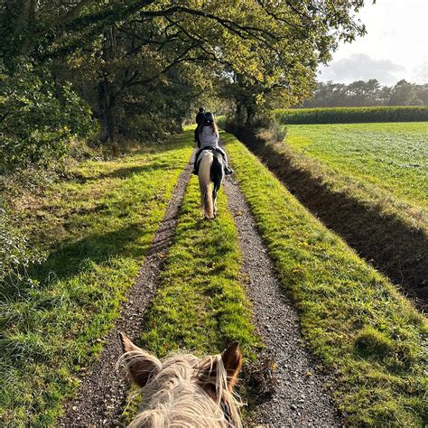 GRAND GALOP RENNES Guide (2026) All You Need to Know BEFORE You Go ...