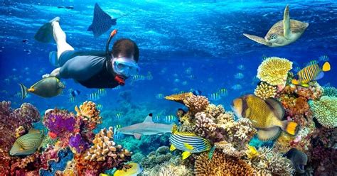 Snorkeling In New Zealand 2023: 6 Best Places To Snorkel!