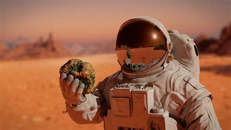 How to Search for Life on Mars — The New Atlantis