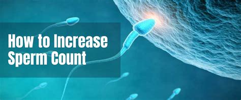 How to Increase Sperm Count – askdrjain.com