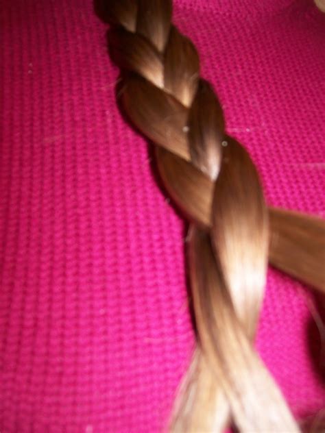 Braid Styles of the 1850s (and 1880s): Cable Plaits | Beth's Bobbins