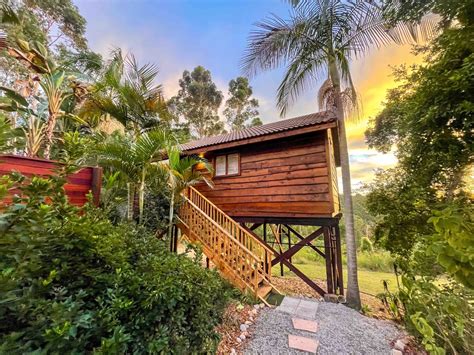 Western Cape Treehouse Rentals | Tree Houses and More | Airbnb