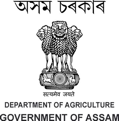 The Vibrant North East 2024 | Supported By Ministry of Doner