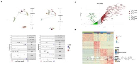 Morphospace Local Optima 的图像结果
