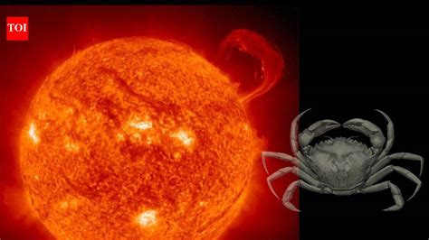 Sun transit in Cancer: Here’s how it’s set to affect your career