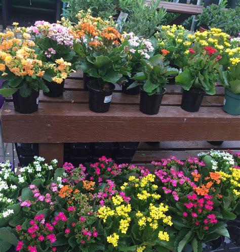 Photo Gallery: Delaware Garden Center - Oakland Nursery