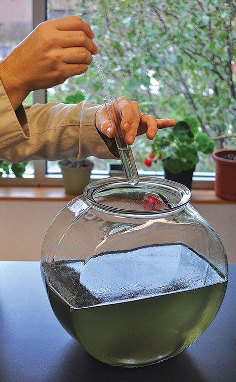 Image result for Ca O2 Lab Kit