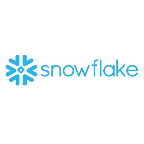 Snowflake Data Clear Logo 的图像结果
