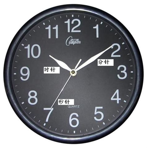 时钟集 5,10,15和20分钟计时器符号 矢量平面设计时间图标 向量例证 - 插画 包括有 平面, 截止日期: 164481523