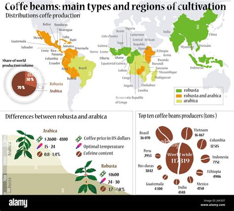 Different Types Of Coffee Regions at Mae Kimbrell blog