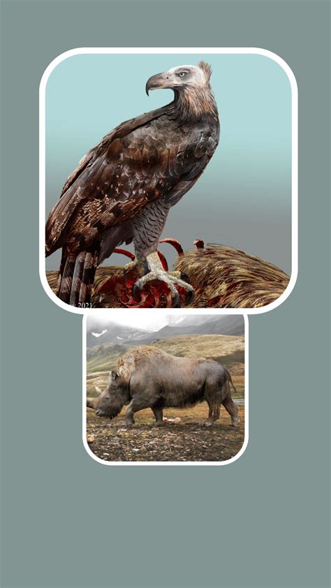 Image result for Most Interesting Extinct Animals