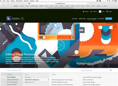 Adobe Encoder Tutorial 的图像结果