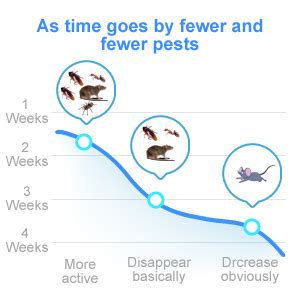 Ultrasonic Electric Pest Repellent Machine to Repel Lizard, Rat ...