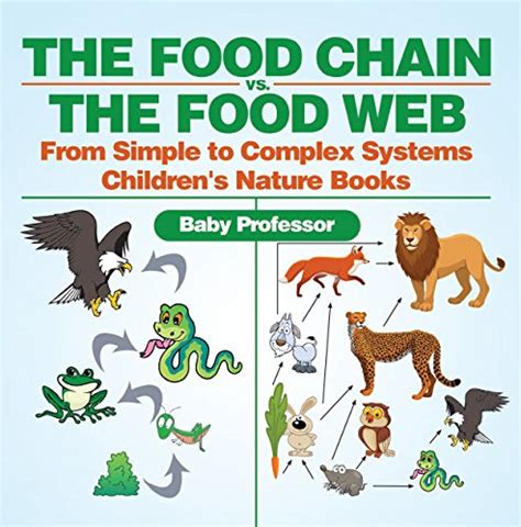 The Food Chain vs. The Food Web - From Simple to Complex Systems ...