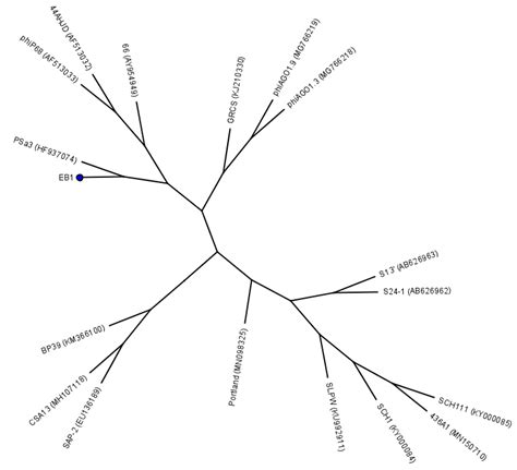 Efficacy of Bacteriophages Against Staphylococcus aureus Isolates from ...