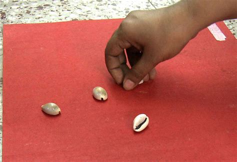 D'source Cowrie Shells | Indoor Games | D'Source Digital Online ...