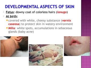 Image result for JavaScript Library jQuery
