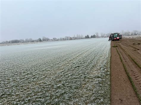 Cloverdale Nursery & Turf Farm (@cloverdale_nursery) • Instagram photos ...