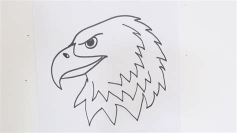 How to Draw a Bald Eagle Head Easy - Graves Mcfaine
