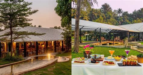 Romantic meal at saltt oleander farms | WhatsHot Mumbai