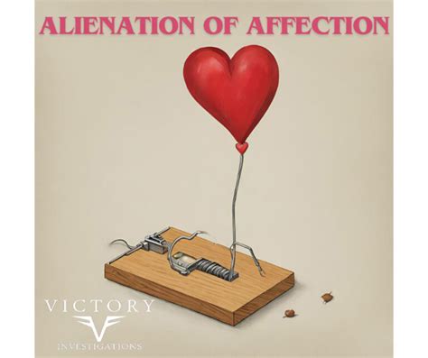 Image result for Alienation of Affection Book