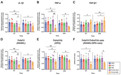 NF-κB Decoy ODN-Loaded Poly(Lactic-co-glycolic Acid) Nanospheres ...