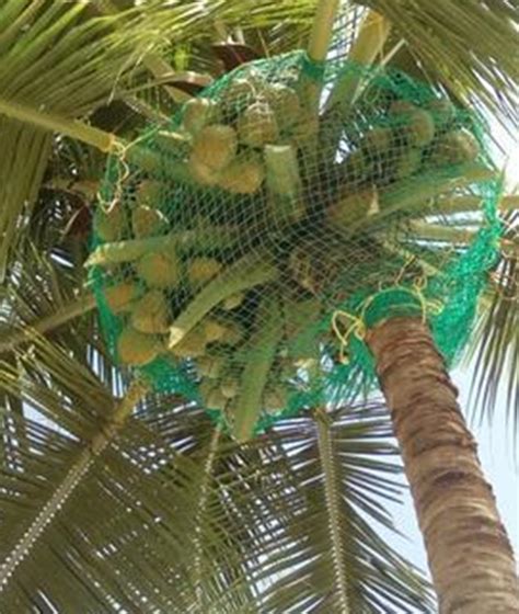Vasu Balcony Safety Nets Hyderabad